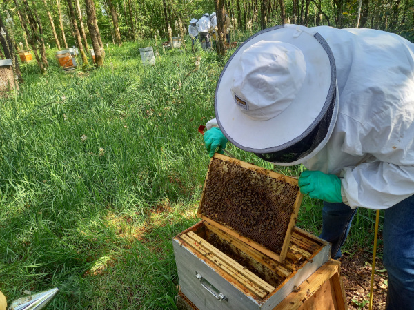 Elève en action au rucher école de l'Abeille du Poitou.